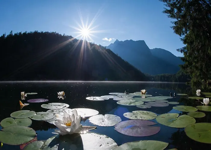 Апартаменты Easy Living Oetztal *