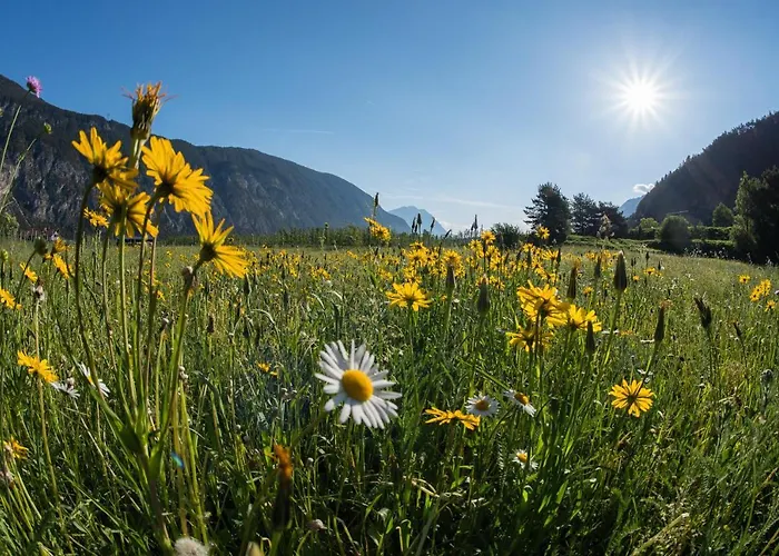 Апартаменты Easy Living Oetztal Заутенс