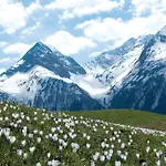 Easy Living Oetztal