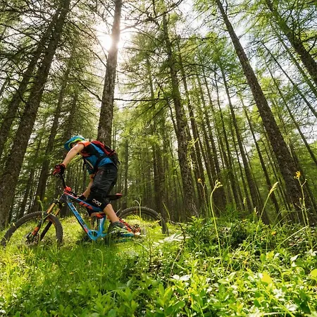 Daire Easy Living Oetztal